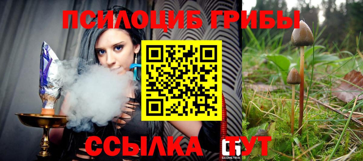 Псилоцибиновые грибы Magic Shrooms  Вход с VPN  Псилоцибиновые грибы прущие грибы  Верхний Уфалей 